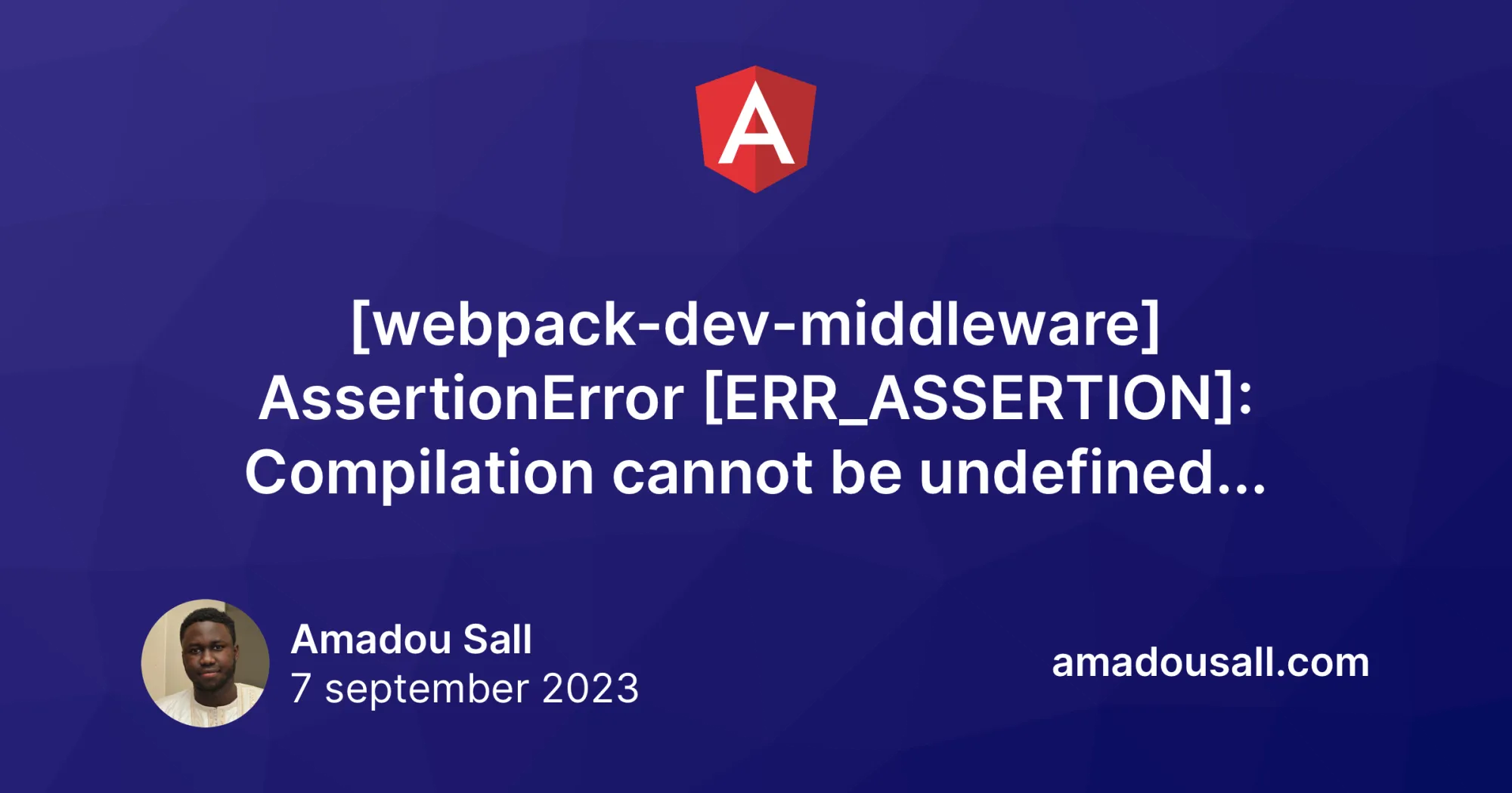 Storybook Angular : "[webpack-dev-middleware] AssertionError [ERR_ASSERTION]: Compilation cannot be undefined...."